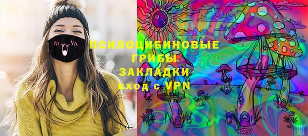 крисы Протвино