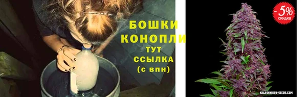 крисы Протвино